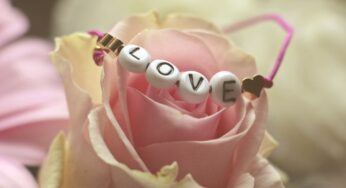 El amor amor