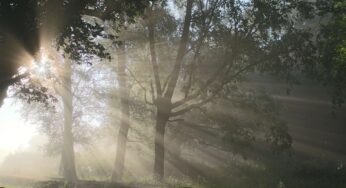 Serenamente