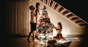 Navidades