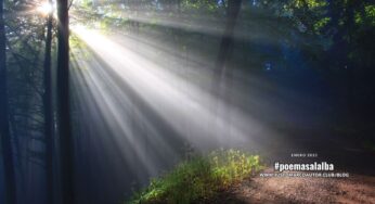 La luz